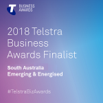 2018 Telstra Business Awards Finalist